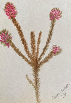 Fine Antique British Botannical Watercolour Painting, circa 1900's
