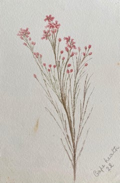 Belle aquarelle botanique britannique ancienne, vers 1900