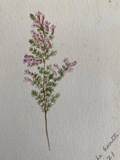 Fine Antique British Botannical Watercolour Painting, circa 1900
s