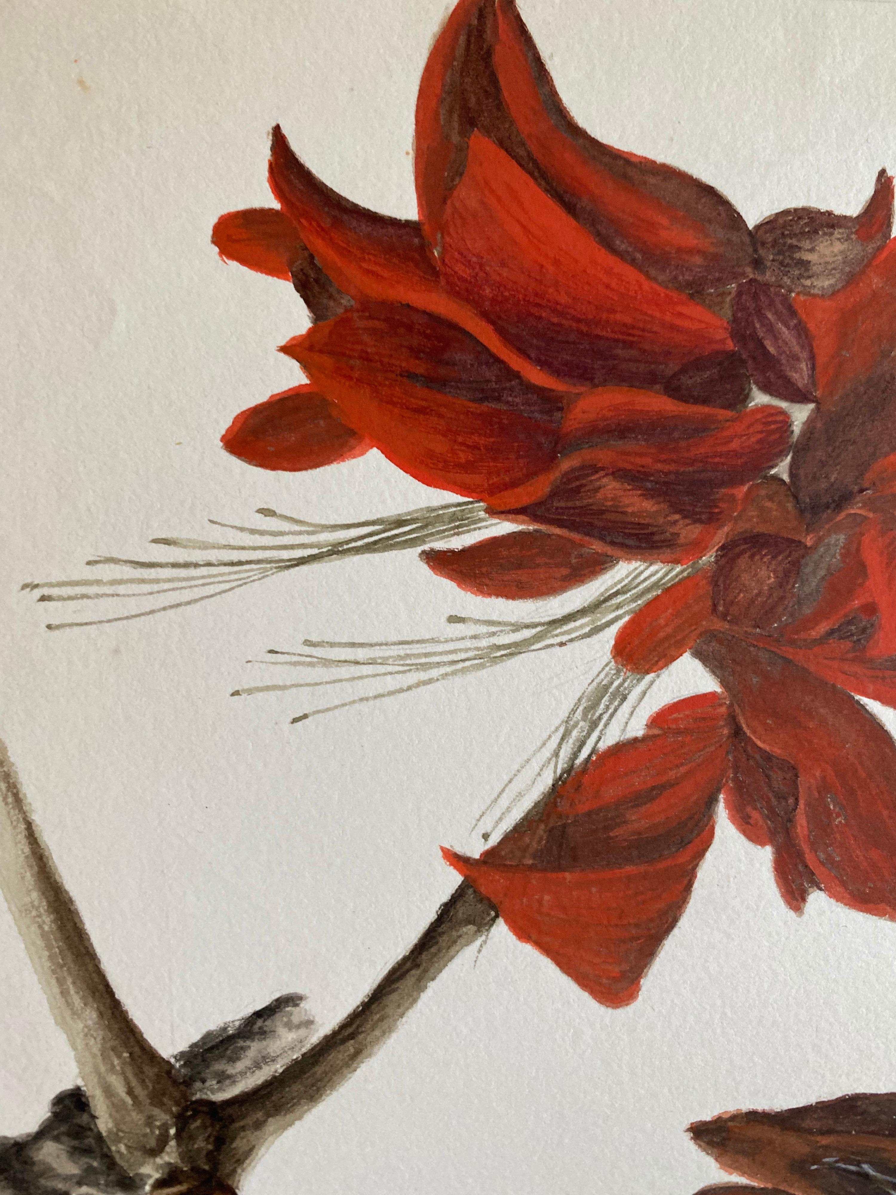 Fine Antique British Botannical Watercolour Painting, circa 1900's Red Flower - Beige Still-Life Painting by Caroline Worsley