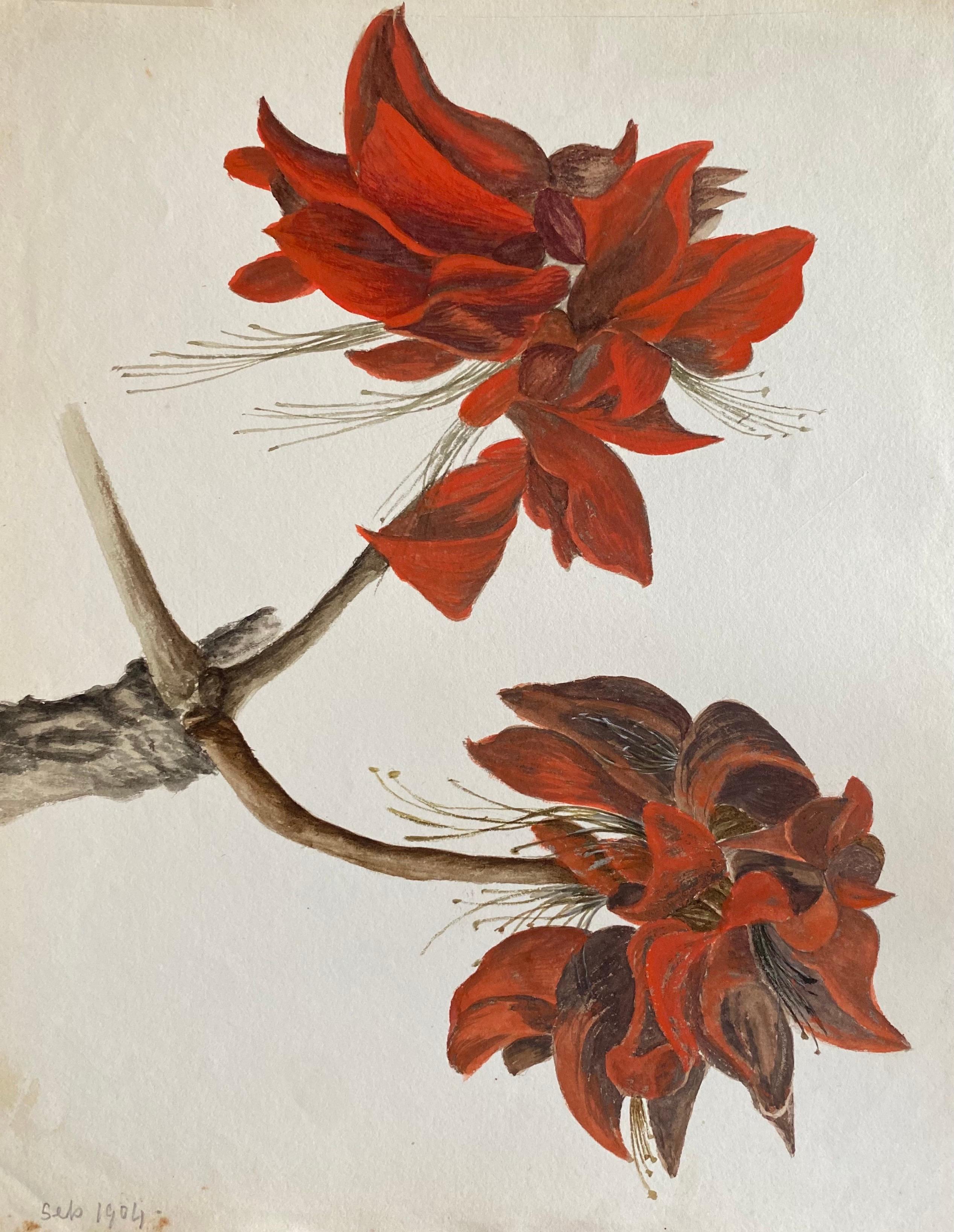Caroline Worsley Still-Life Painting – Antikes britisches Botanisches Aquarellgemälde mit roter Blume, um 1900