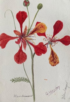 Antikes britisches Botanisches Aquarellgemälde, ca. 1900er Jahre, rote Blumen