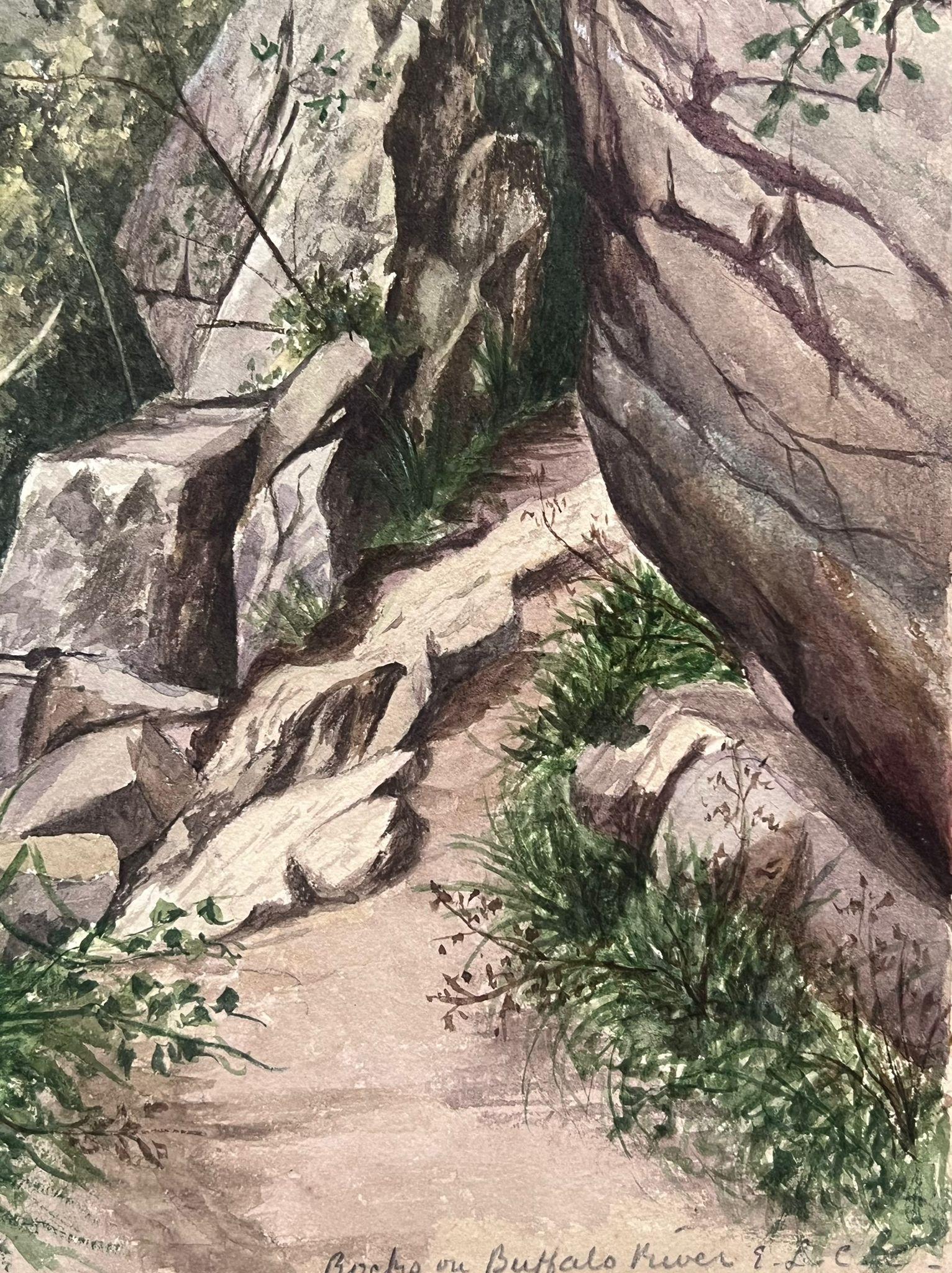 Fine Antique British Watercolour Painting Rocks Path To Buffalo River Landscape (peinture à l'aquarelle de rochers vers la rivière Buffalo)  en vente 1