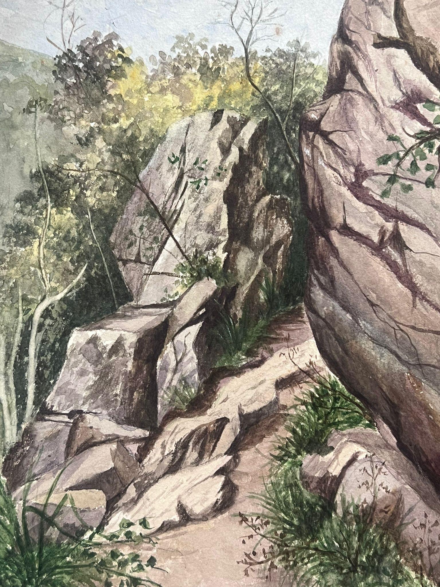 Fine Antique British Watercolour Painting Rocks Path To Buffalo River Landscape (peinture à l'aquarelle de rochers vers la rivière Buffalo)  en vente 2
