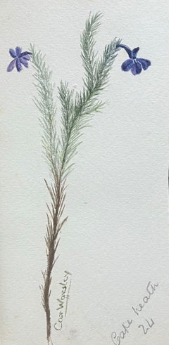 Set of Two Fine Antique British Botanical Paintings Purple Flower Sketch