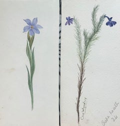 Set von zwei feinen antiken britischen botanischen Gemälden, lila Blumenskizze, Set