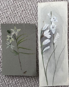 Set of Two Fine Antique British Botanical Paintings White Flower Sketches