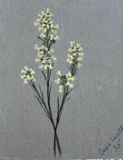 Set Of Two Fine Antique British Botanical Paintings Yellow and White Flower