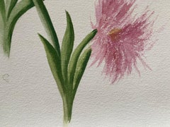 Ensemble de deux belles peintures à l'aquarelle botaniques britanniques anciennes, datant des années 1900 environ