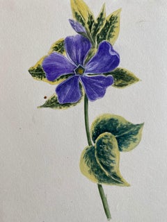 Set Of Two Fine Antique British Botannical Watercolour Paintings, circa 1900's