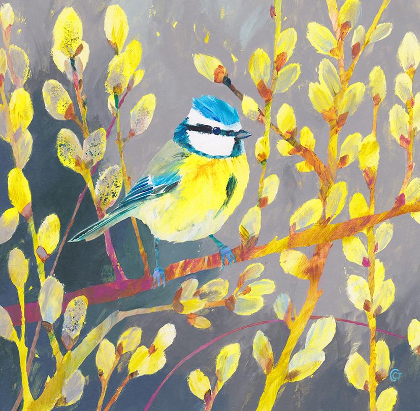 Blue Tit de Carolyn Carter, peinture d'animaux originale, peinture d'oiseau