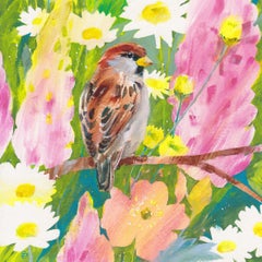 Summer Sparrow