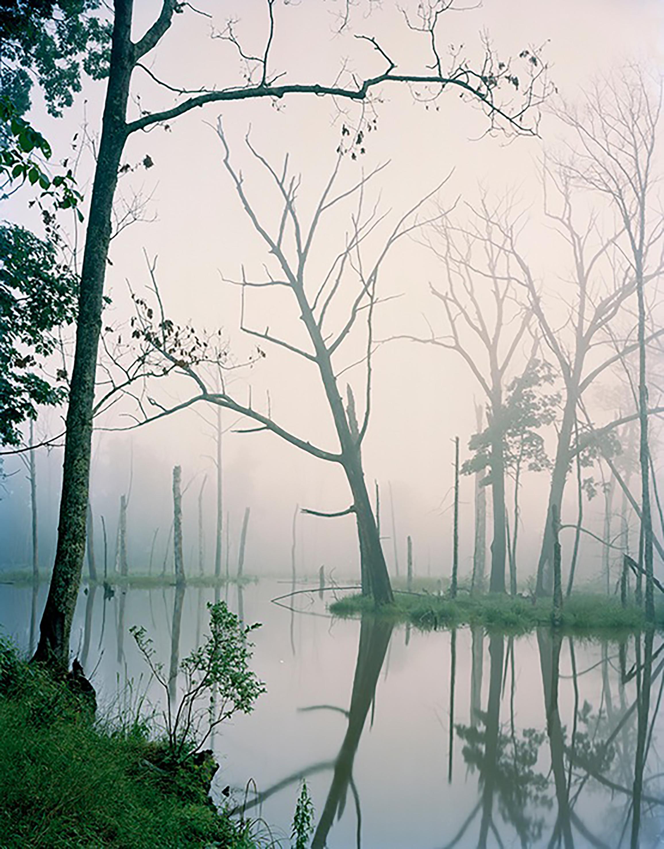 Carolyn Monastra Landscape Photograph - Land of the Lost