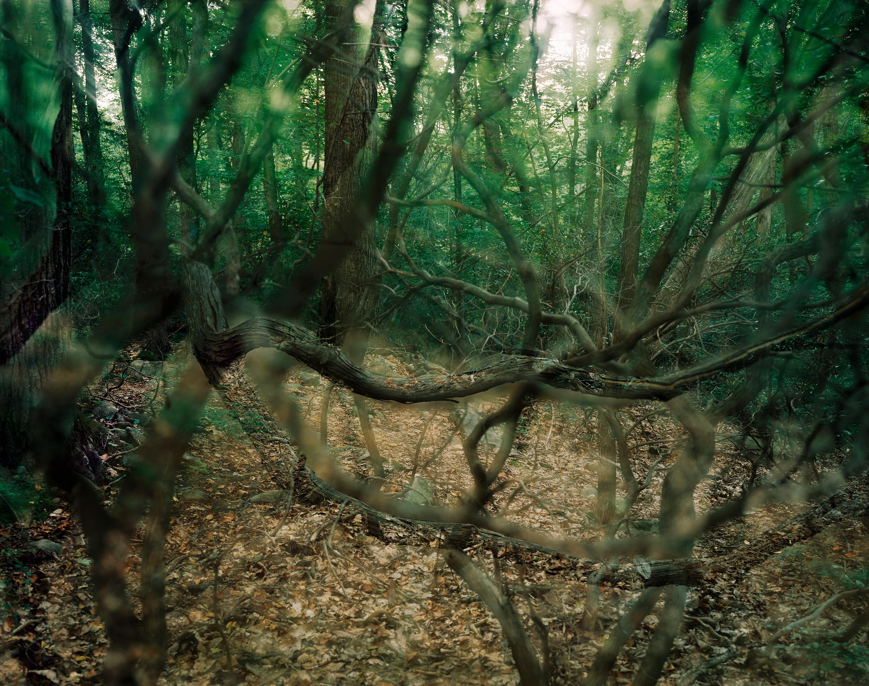 Carolyn Monastra Landscape Photograph – Schön, dunkel und tief #1