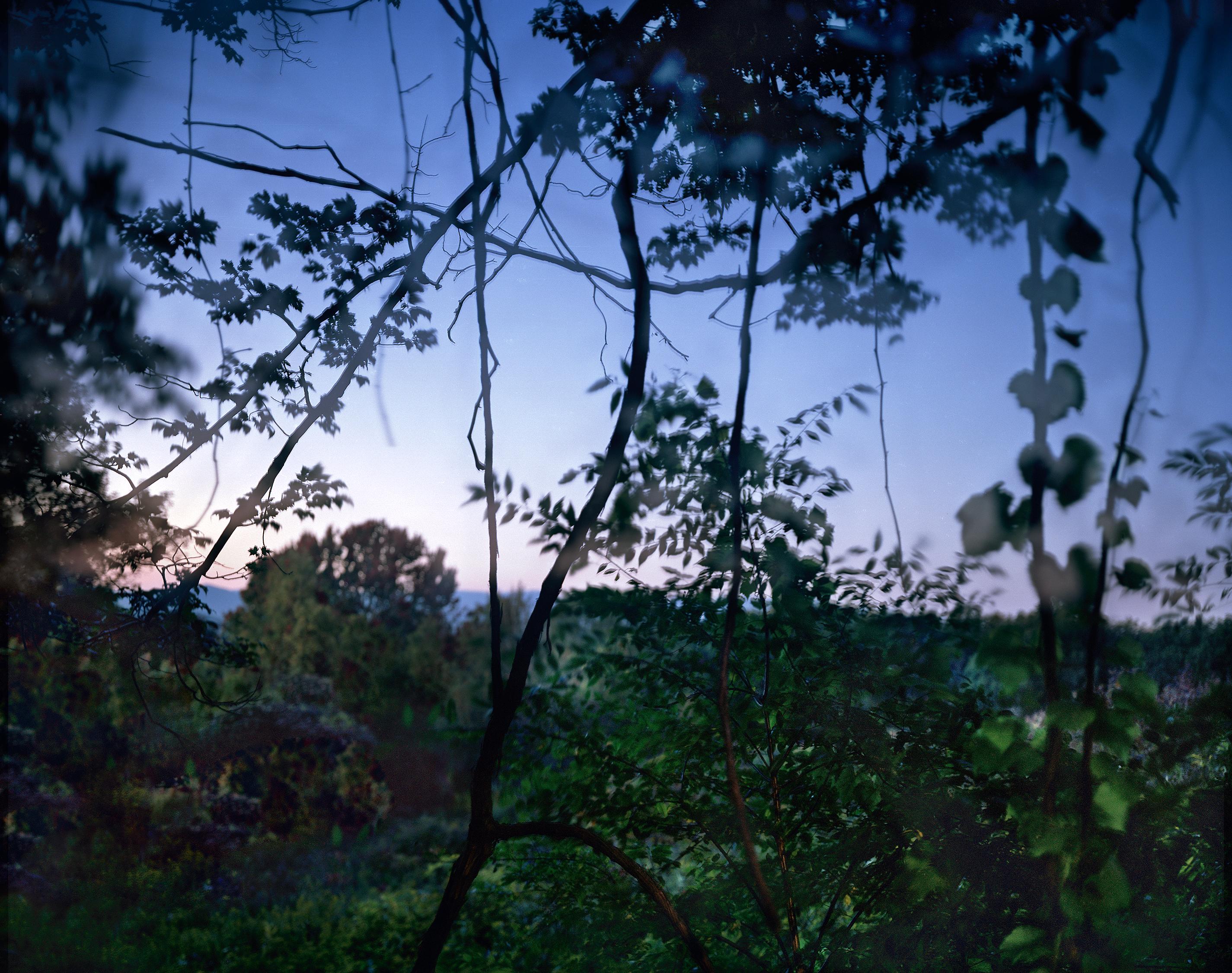 Carolyn Monastra Landscape Photograph – Schön, dunkel und tief #11