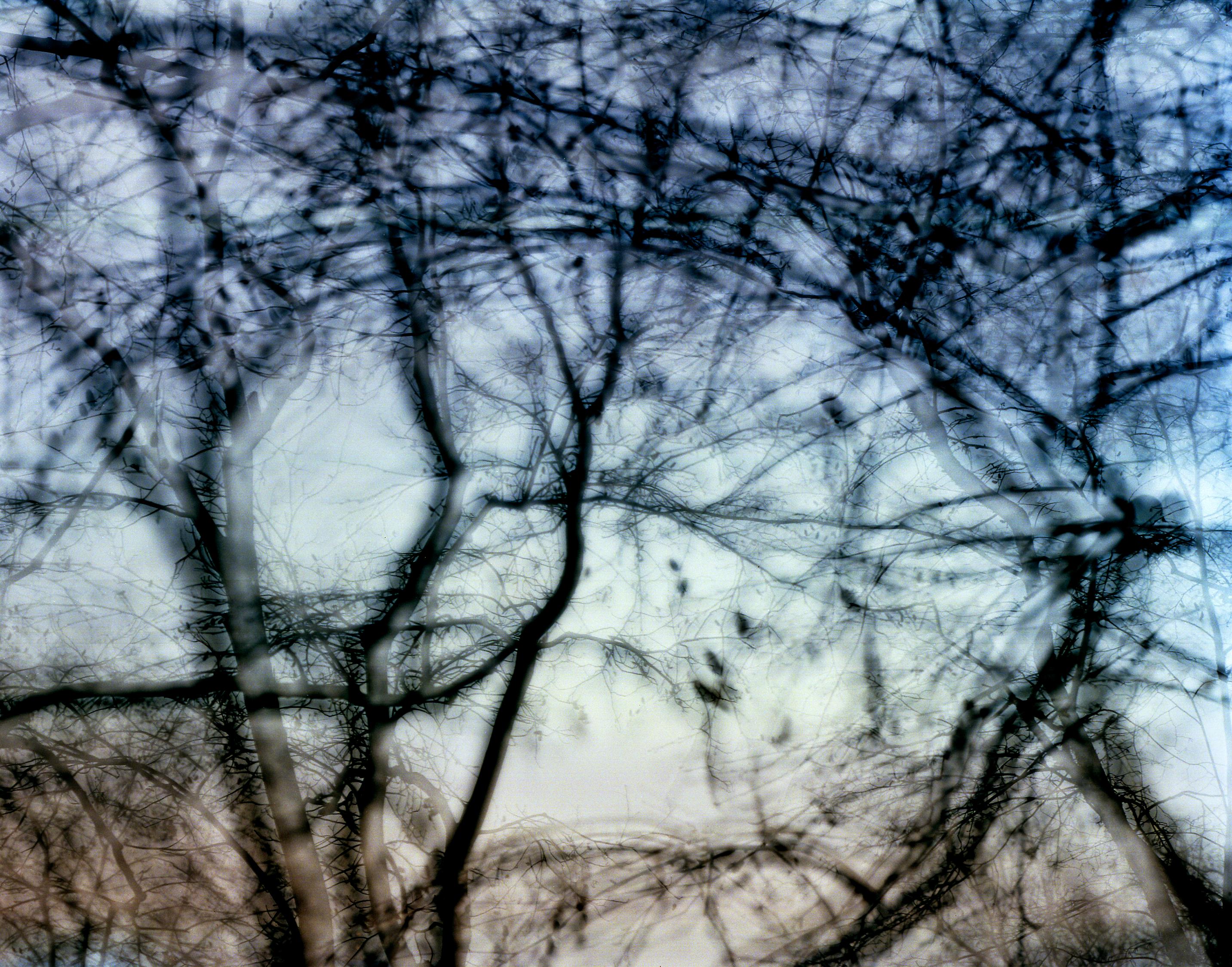 Landscape Photograph di Carolyn Monastra - bella, scura e profonda #22