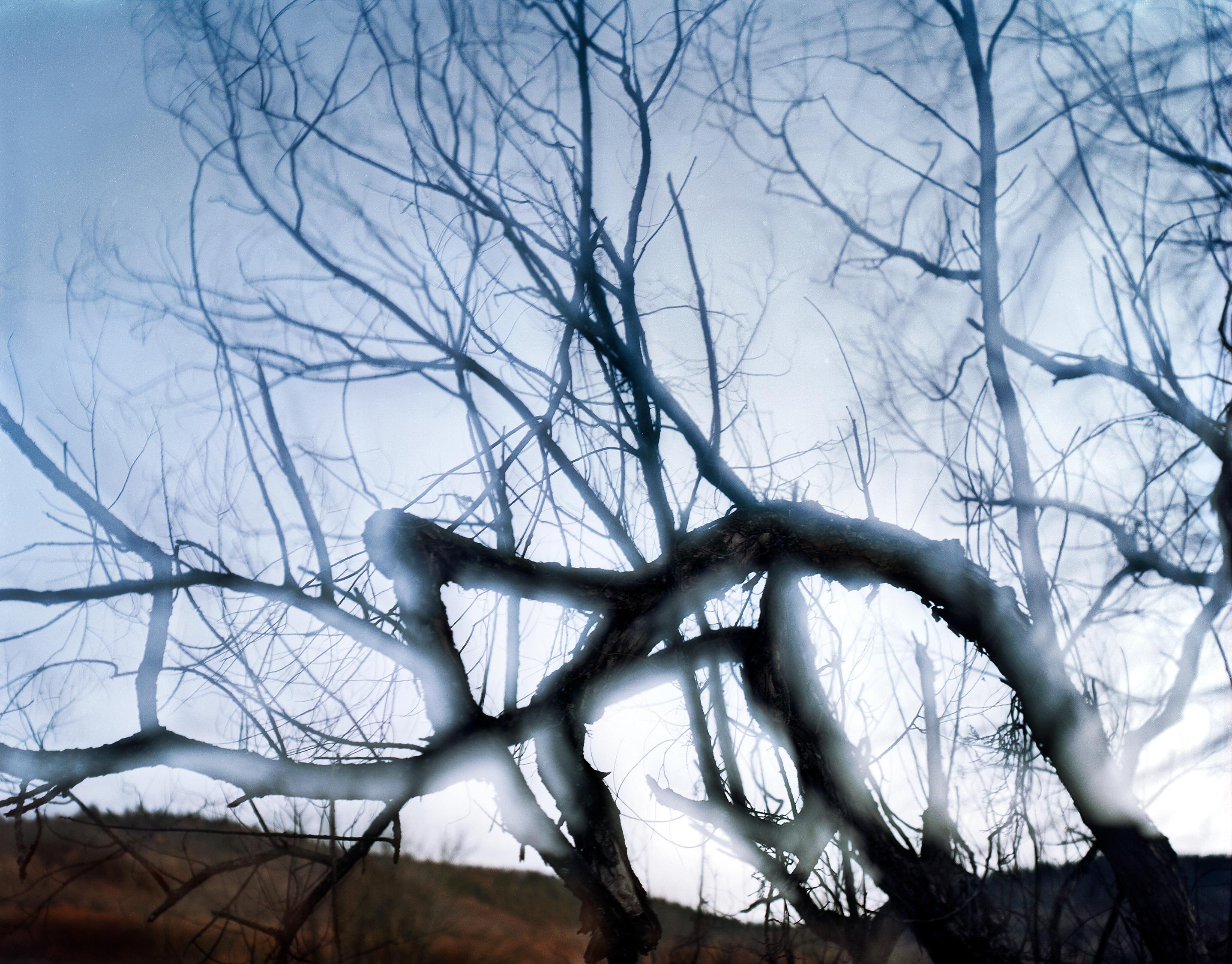 Carolyn Monastra Landscape Photograph - lovely, dark and deep #8