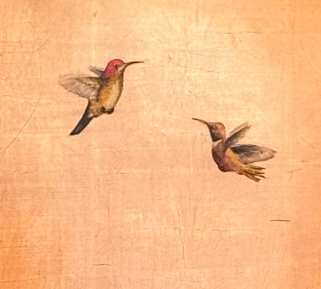 Halo en el cielo del desierto - Painting Contemporáneo de Carolyn Reynolds