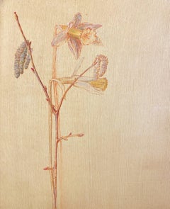 Vintage Botanical Study with Daffodil and Oak Catkins, Late 20th Century Flower Painting
