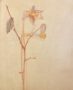 botanische Studie mit Daffodil- und Eichenkattchen, Blumengemälde des späten 20. Jahrhunderts