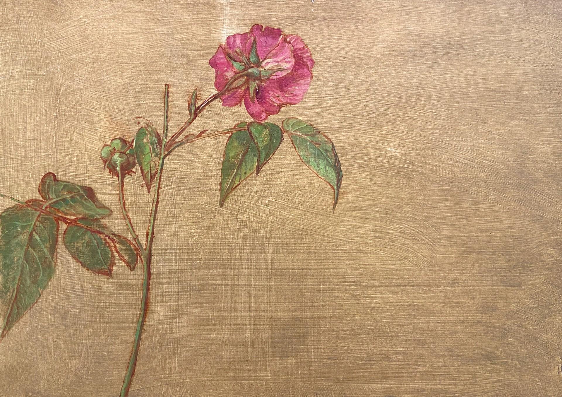 Carolyn Sergeant Still-Life Painting – botanische Studie mit Rosen