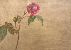 Étude botanique avec rose