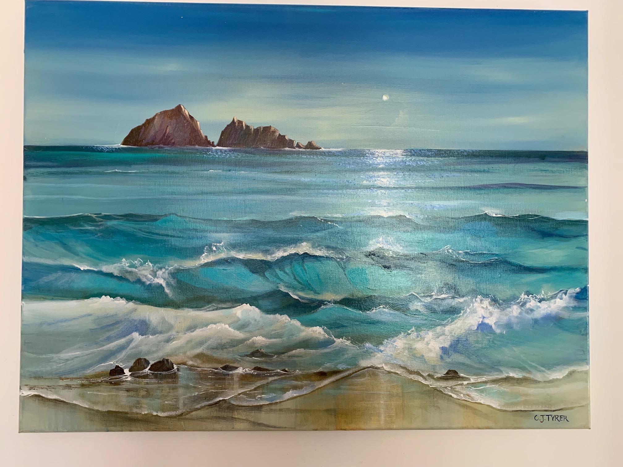Carolyn Tyrer Landscape Painting - Gull Rock