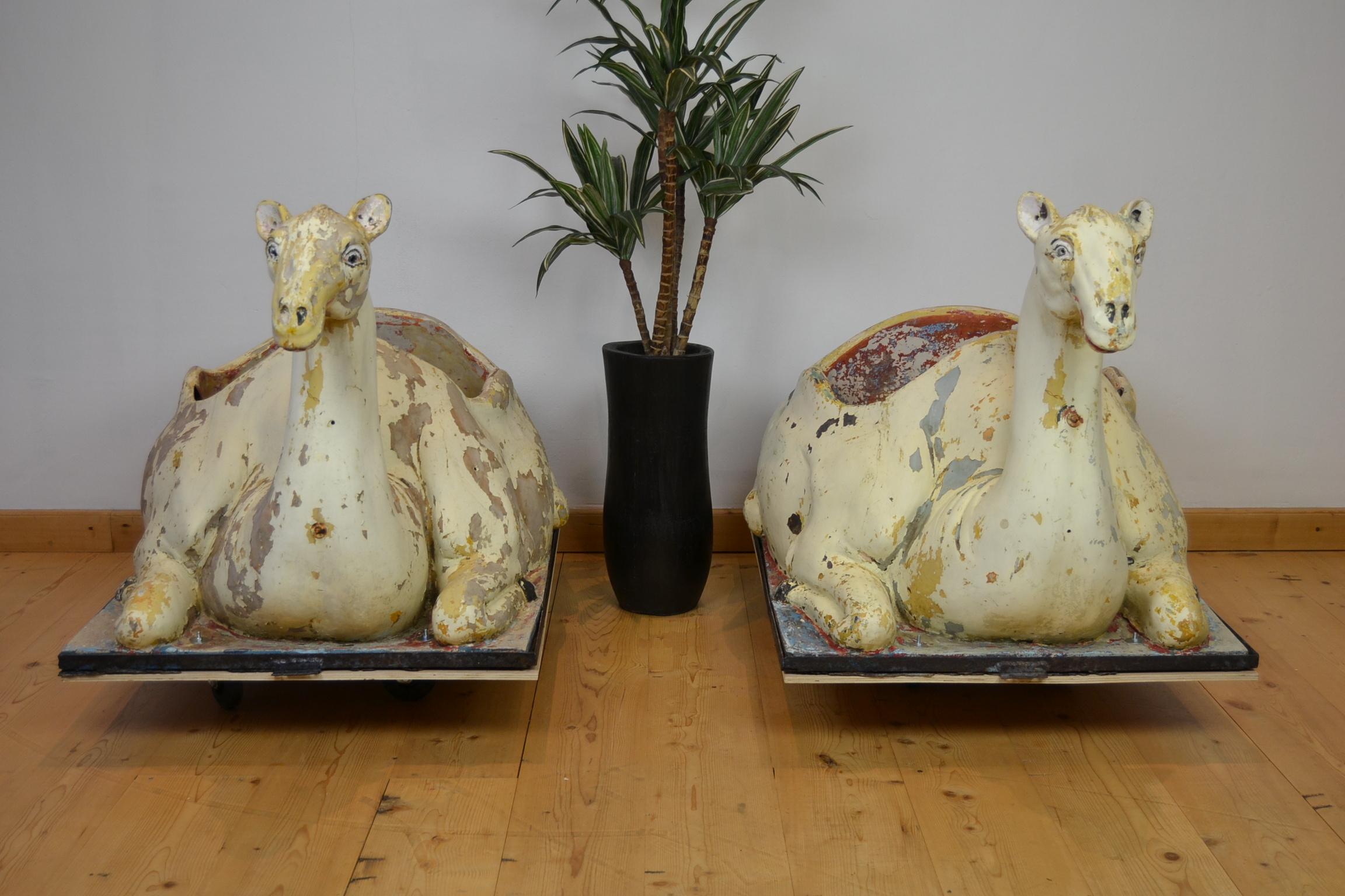 Spectacular carousel camel animals - 2 pieces available.
 
These 2 large lying camel sculptures are eye-catching.
They date circa 1970s and do have an aged patina in the meantime, 
what makes them just that charming.

These vintage ship of the