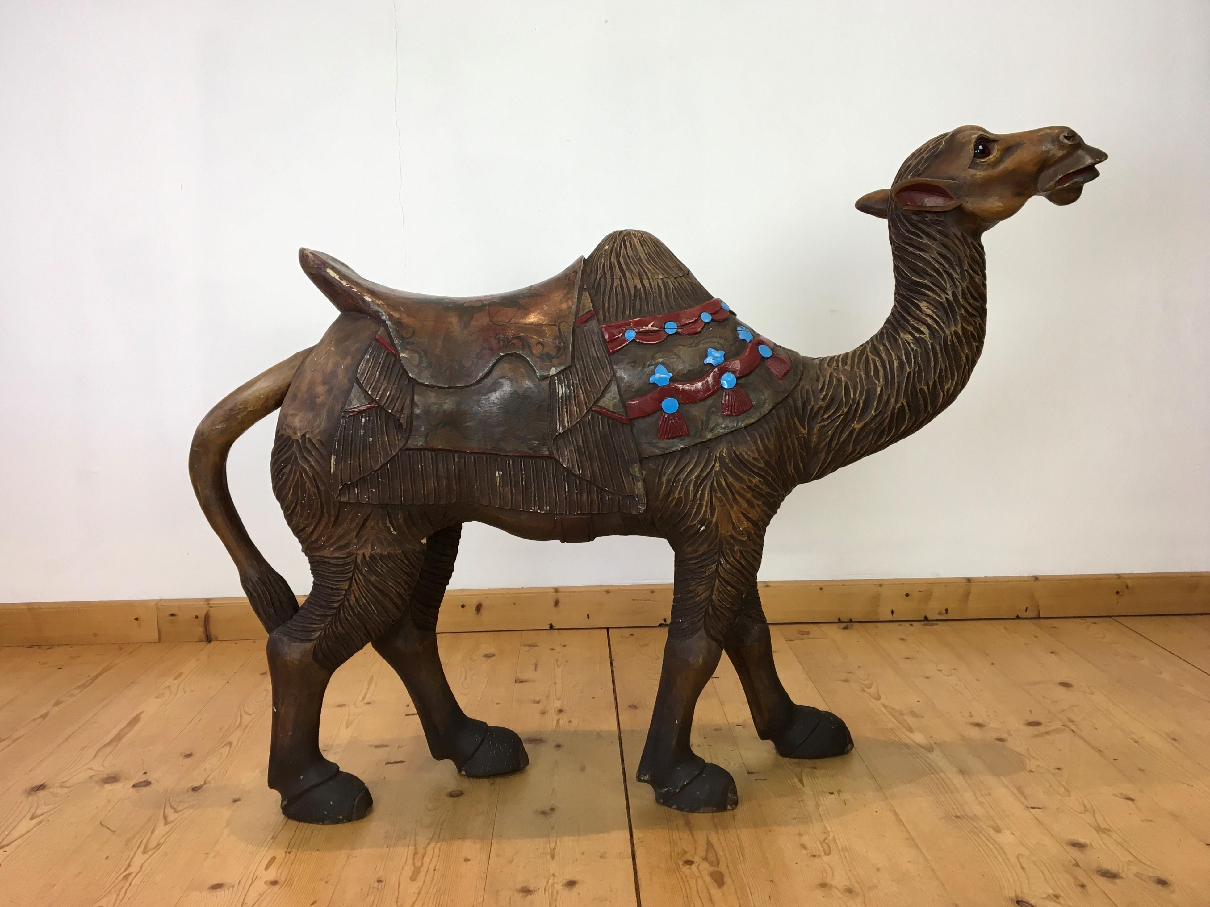 Carousel Dromedary Camel Sculpture with Glass Eyes  13