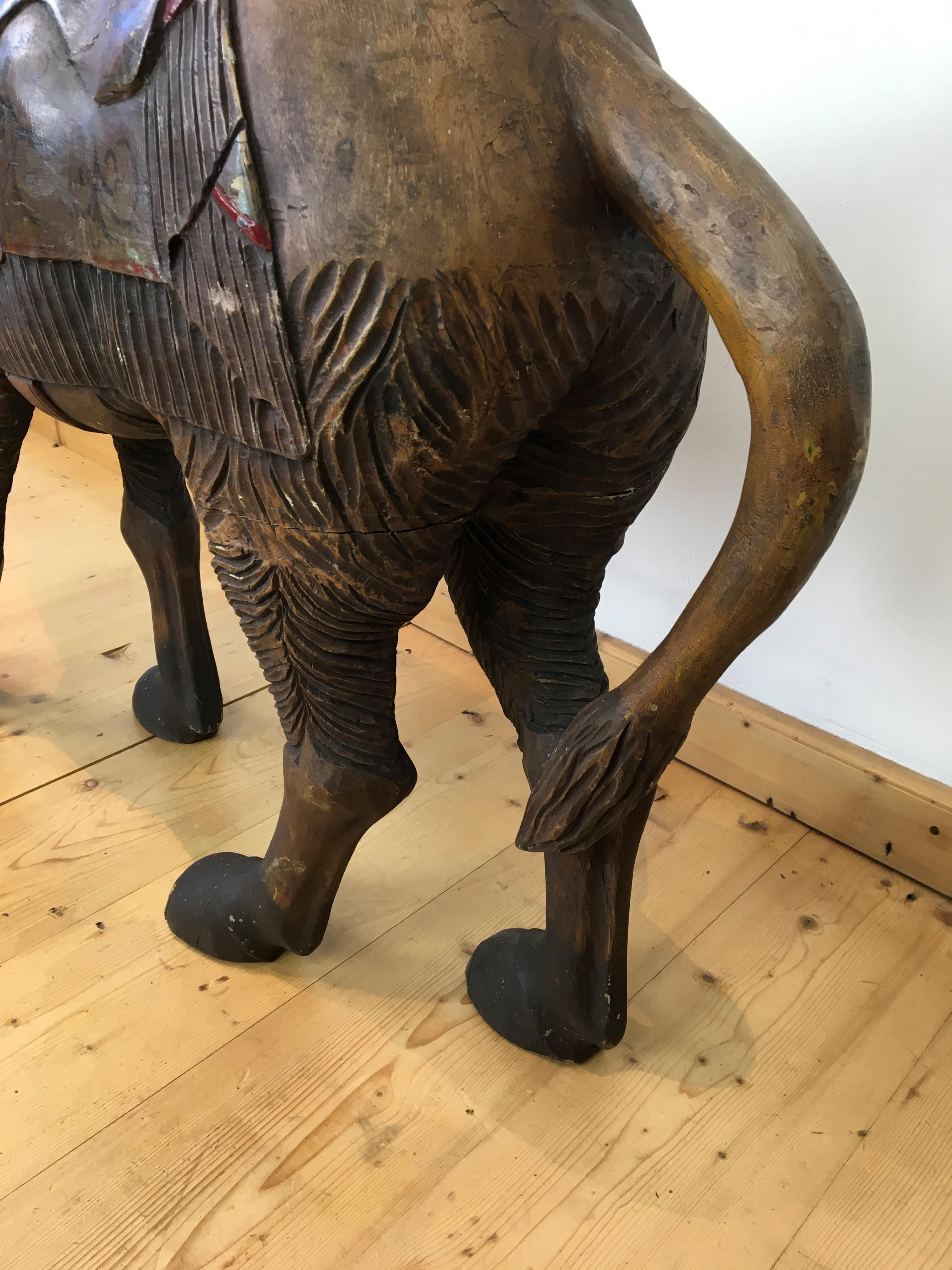 carousel camel
