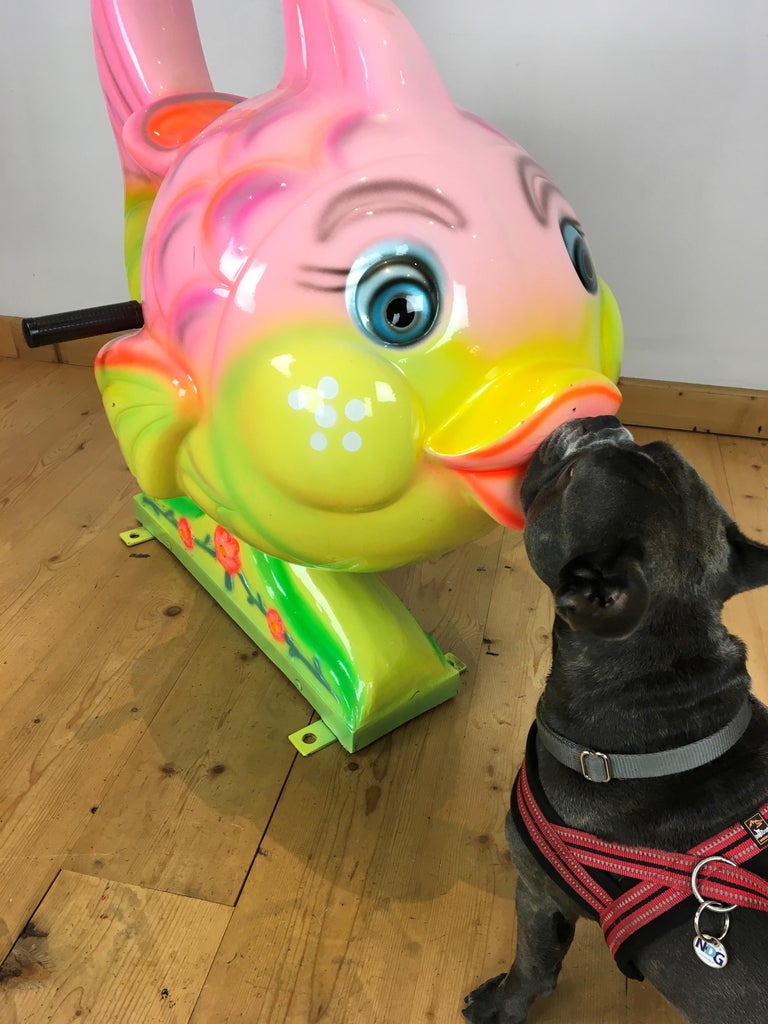 Carousel Fish, Cleo, Pinocchio at 1stDibs | pinocchio fish, fish from  pinocchio, fish pinocchio, image size:768x1024