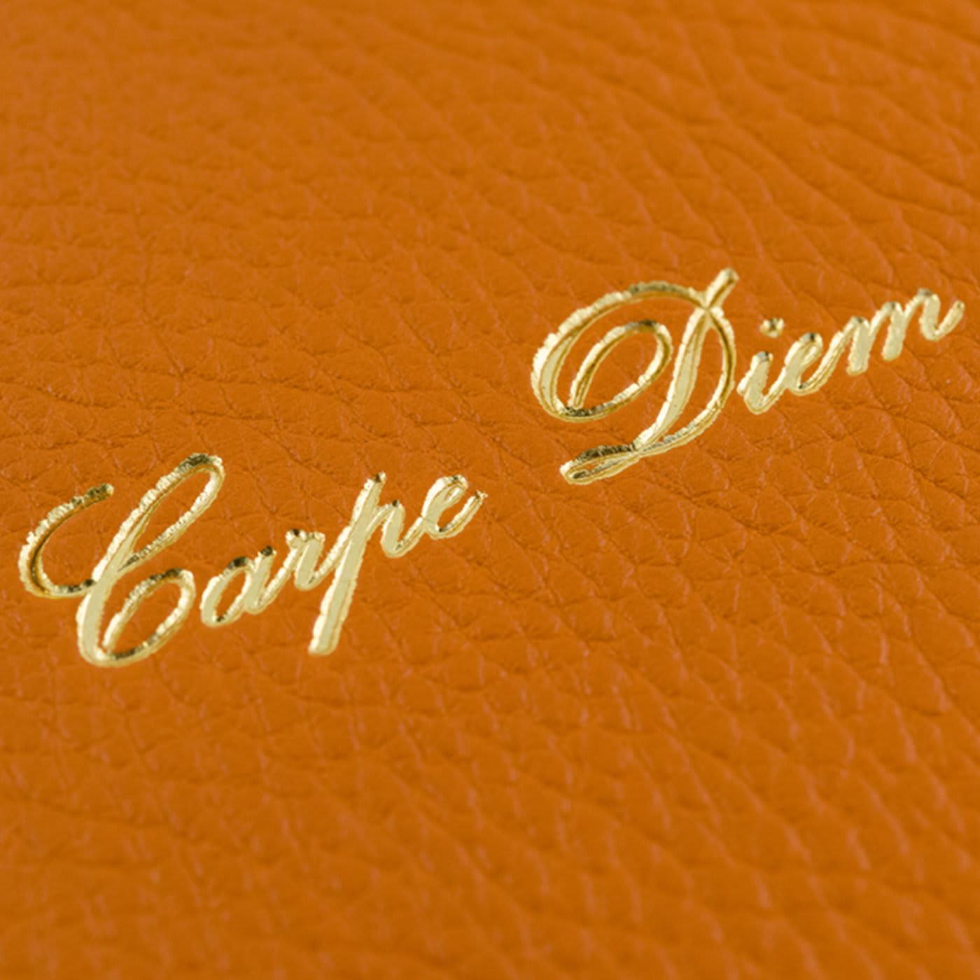Carpe Diem Set of 2 Orange Journal In New Condition For Sale In Milan, IT