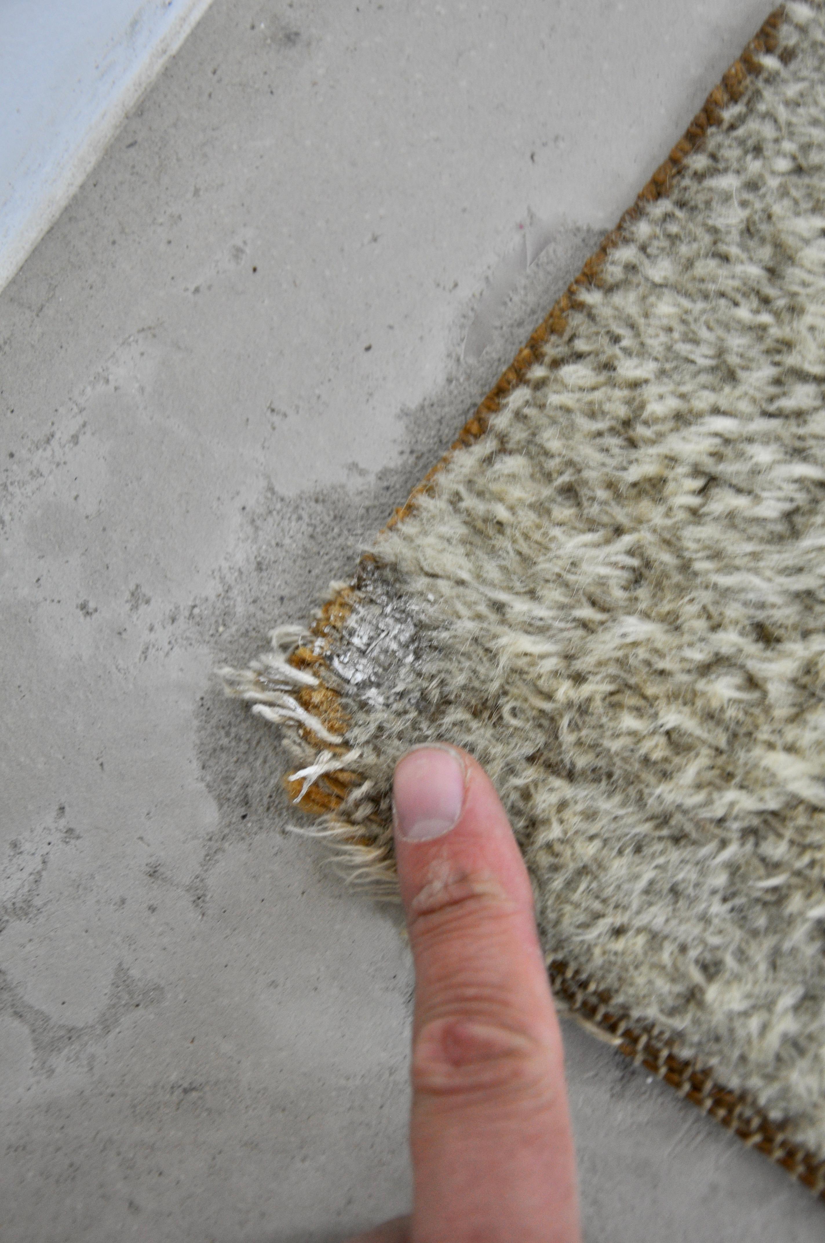Carpet by B&C. B.v. Tapijtfabriek for Van Den Brink & Campman, 1970s 5