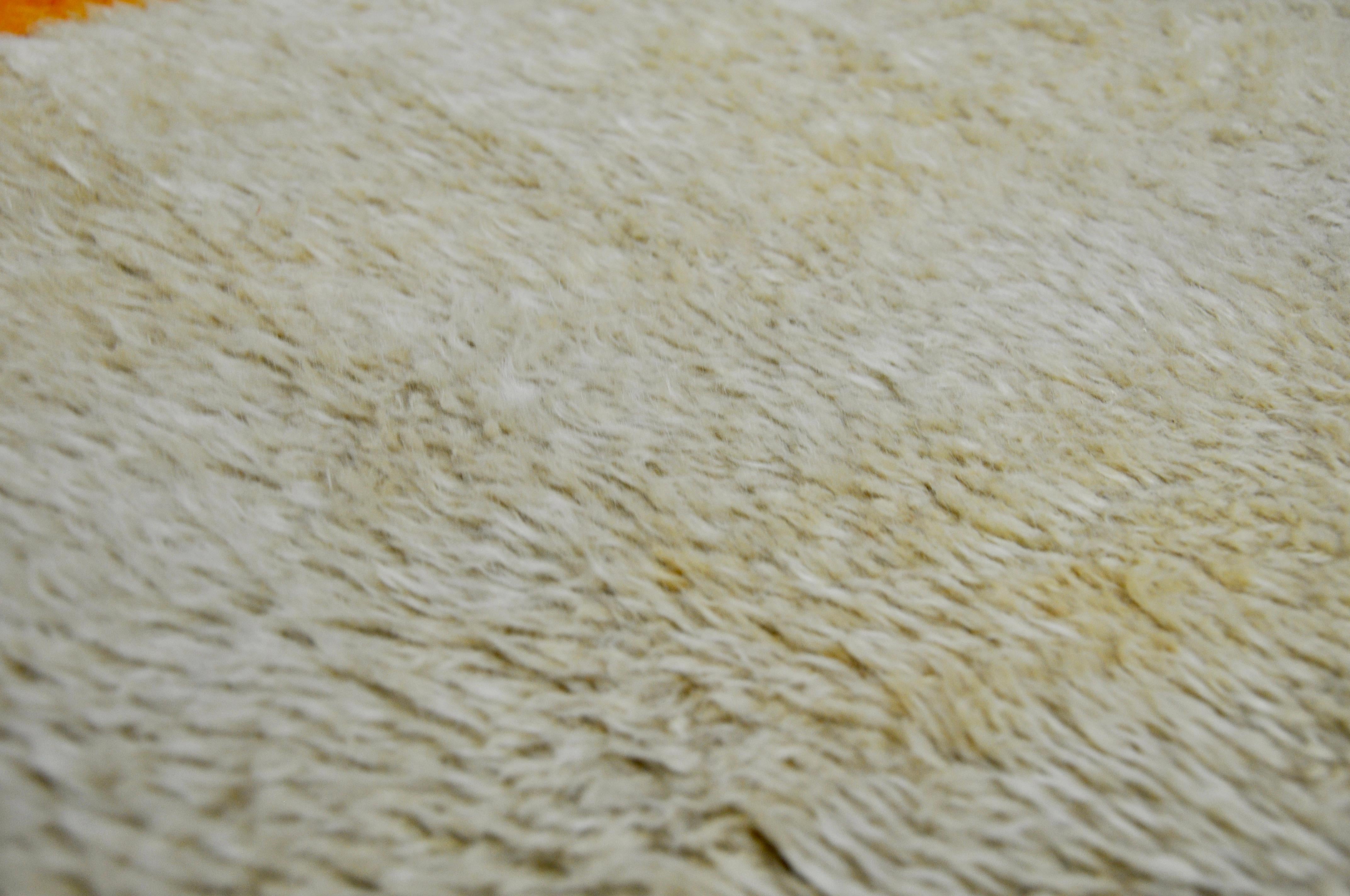 Carpet by B&C. B.v. Tapijtfabriek for Van Den Brink & Campman, 1970s In Good Condition In bruxelles, BE