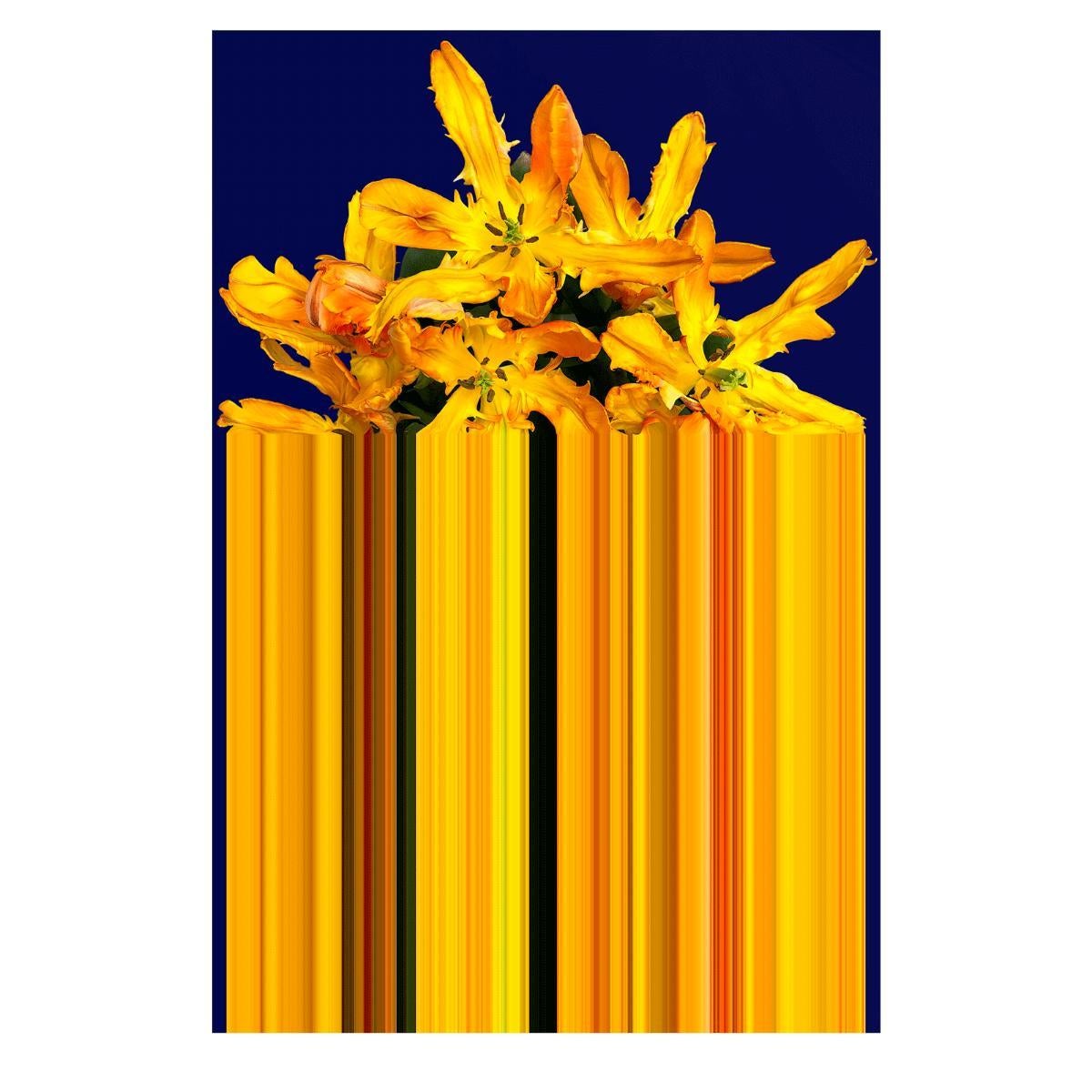 Des images de charmantes fleurs colorées sont étirées en lignes pour révéler leurs belles couleurs. C'est comme si l'image des fleurs n'était pas téléchargée correctement sur l'écran de votre ordinateur. Le motif floral traditionnel rencontre l'ère
