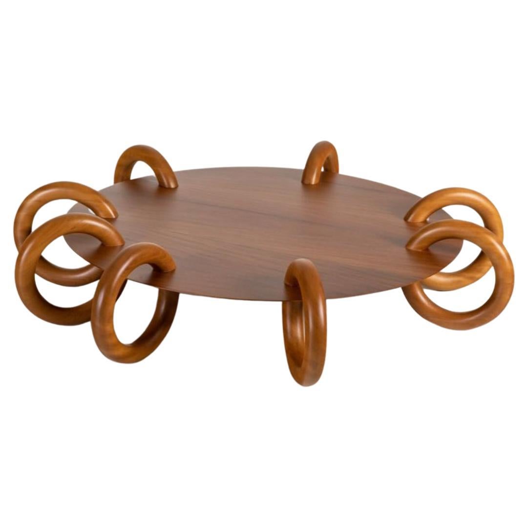 Carrapato Coffee Table by Alva Design For Sale