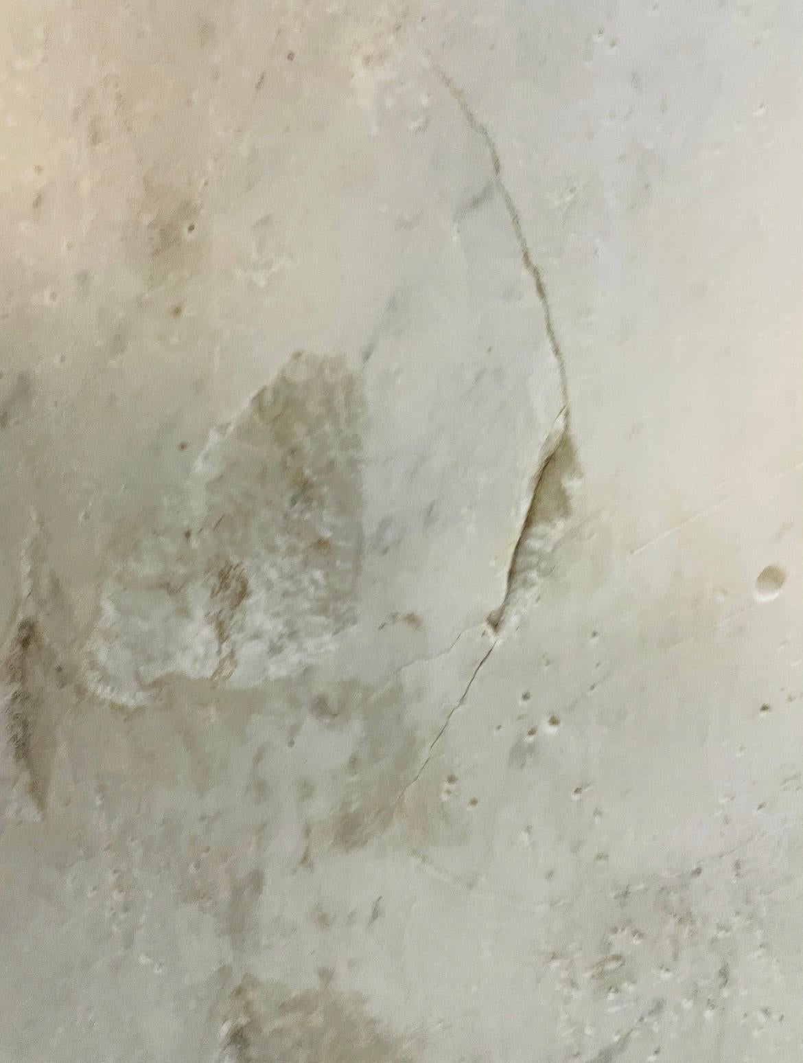 Bassorilievo di San Girolamo in marmo di Carrara in vendita 1