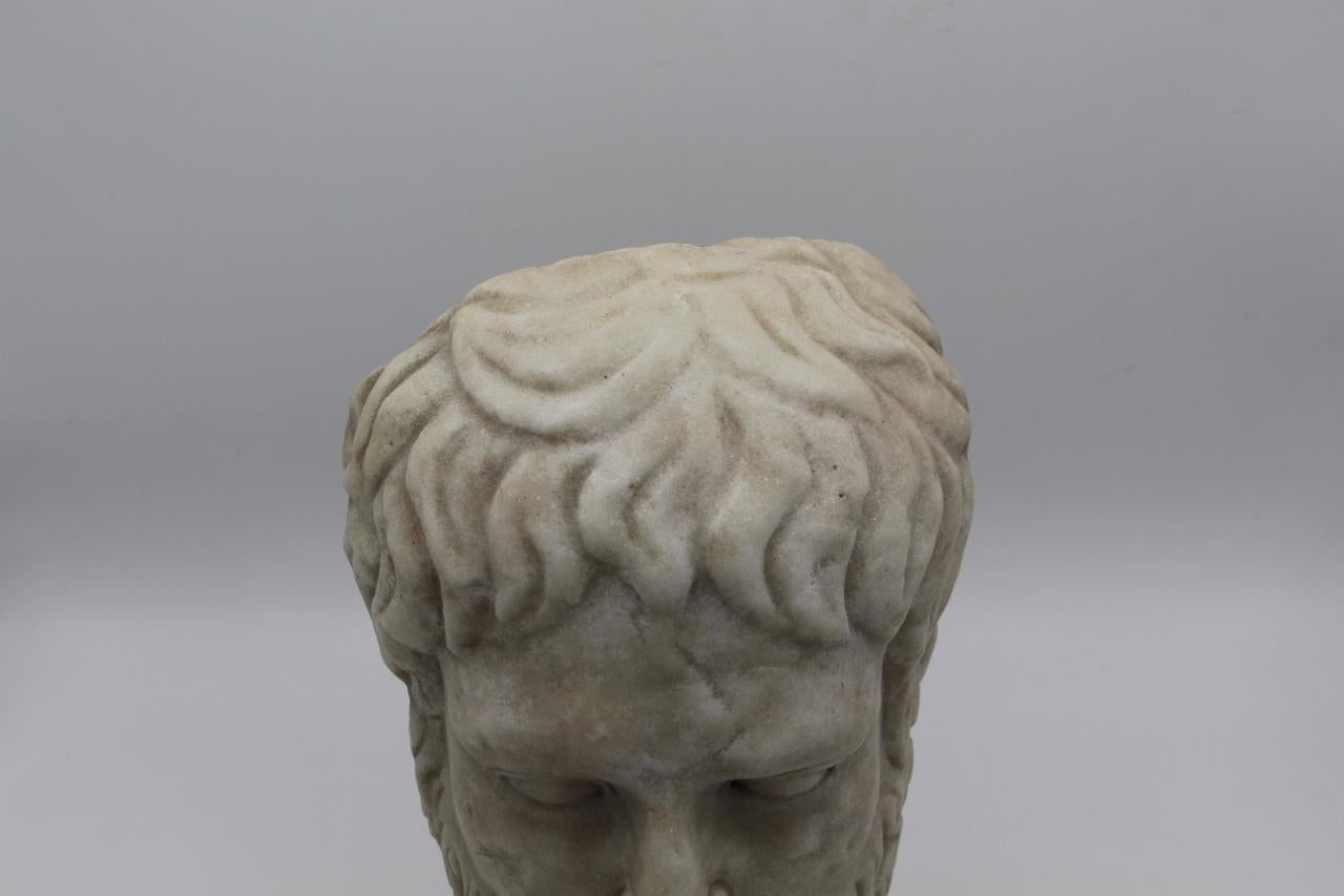 Carrara Marble Head In Antique Style For Sale 1