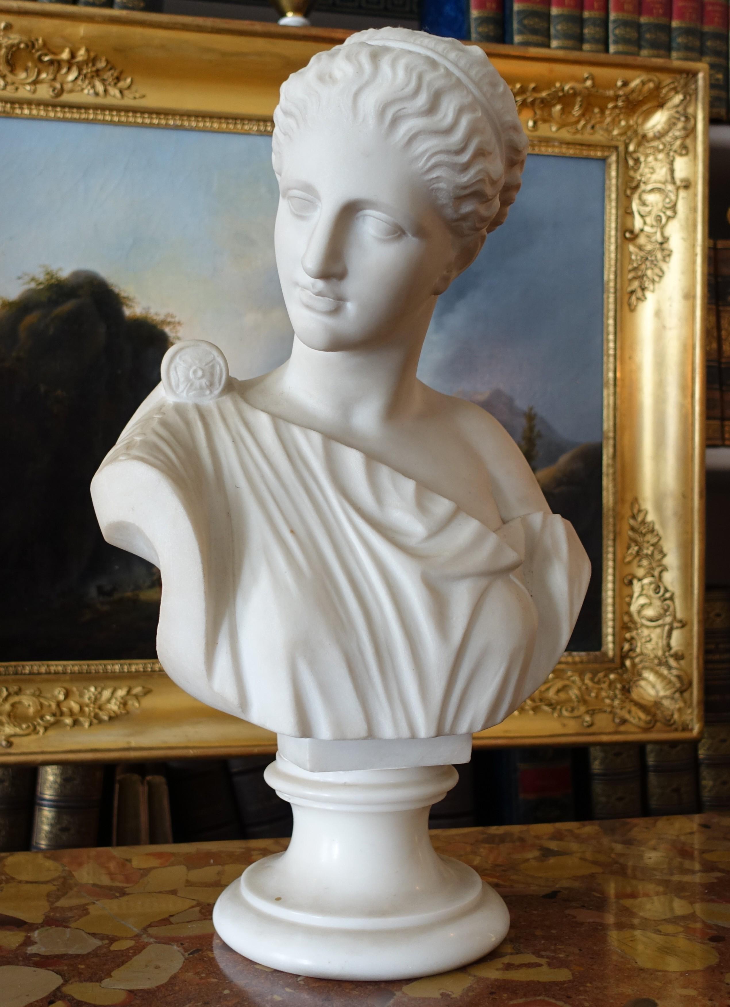 Busto de Venus en mármol de Carrare, estatua neoclásica firmada Pugi hacia 1900 Italiano en venta
