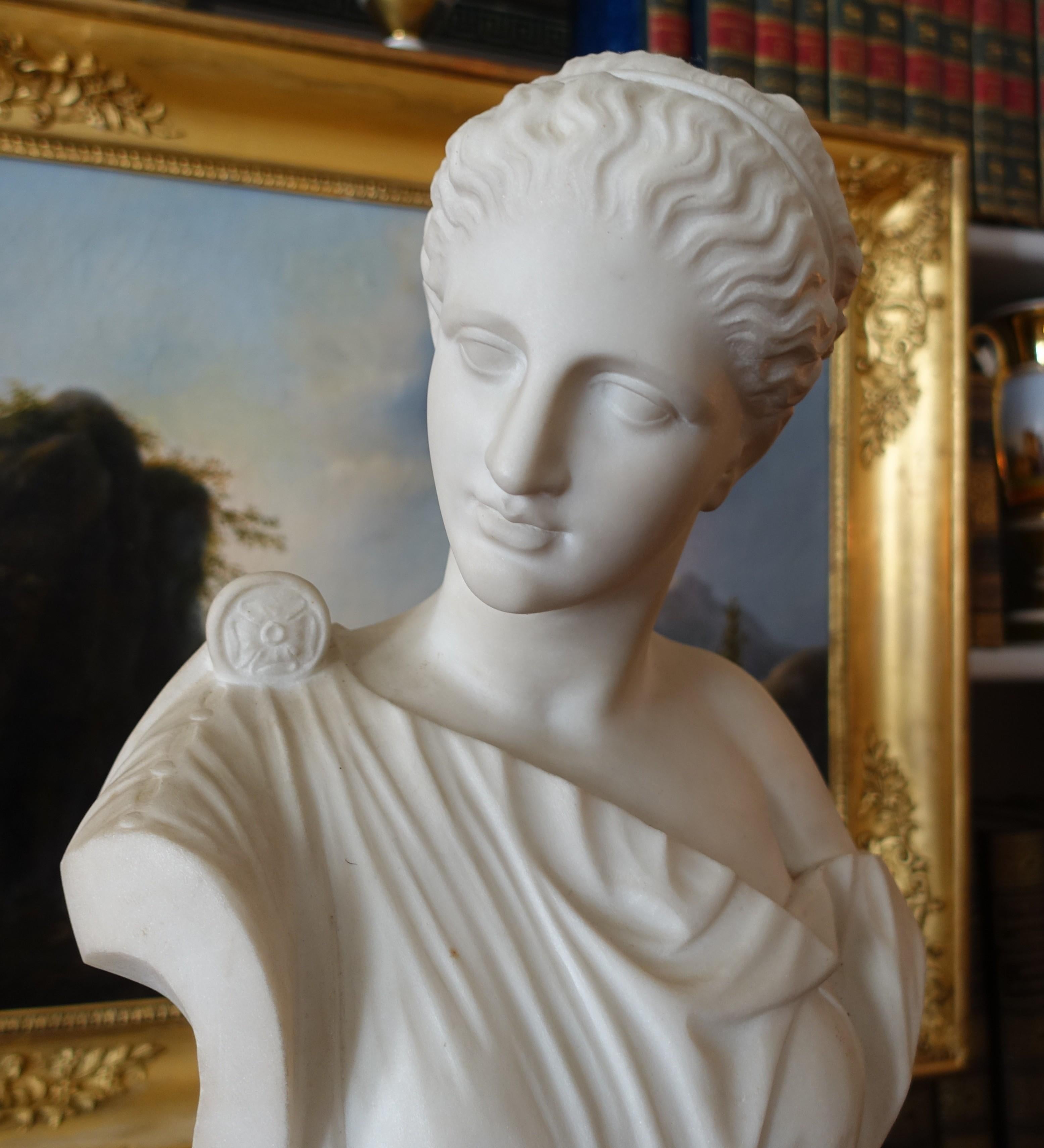 Busto de Venus en mármol de Carrare, estatua neoclásica firmada Pugi hacia 1900 en venta 1