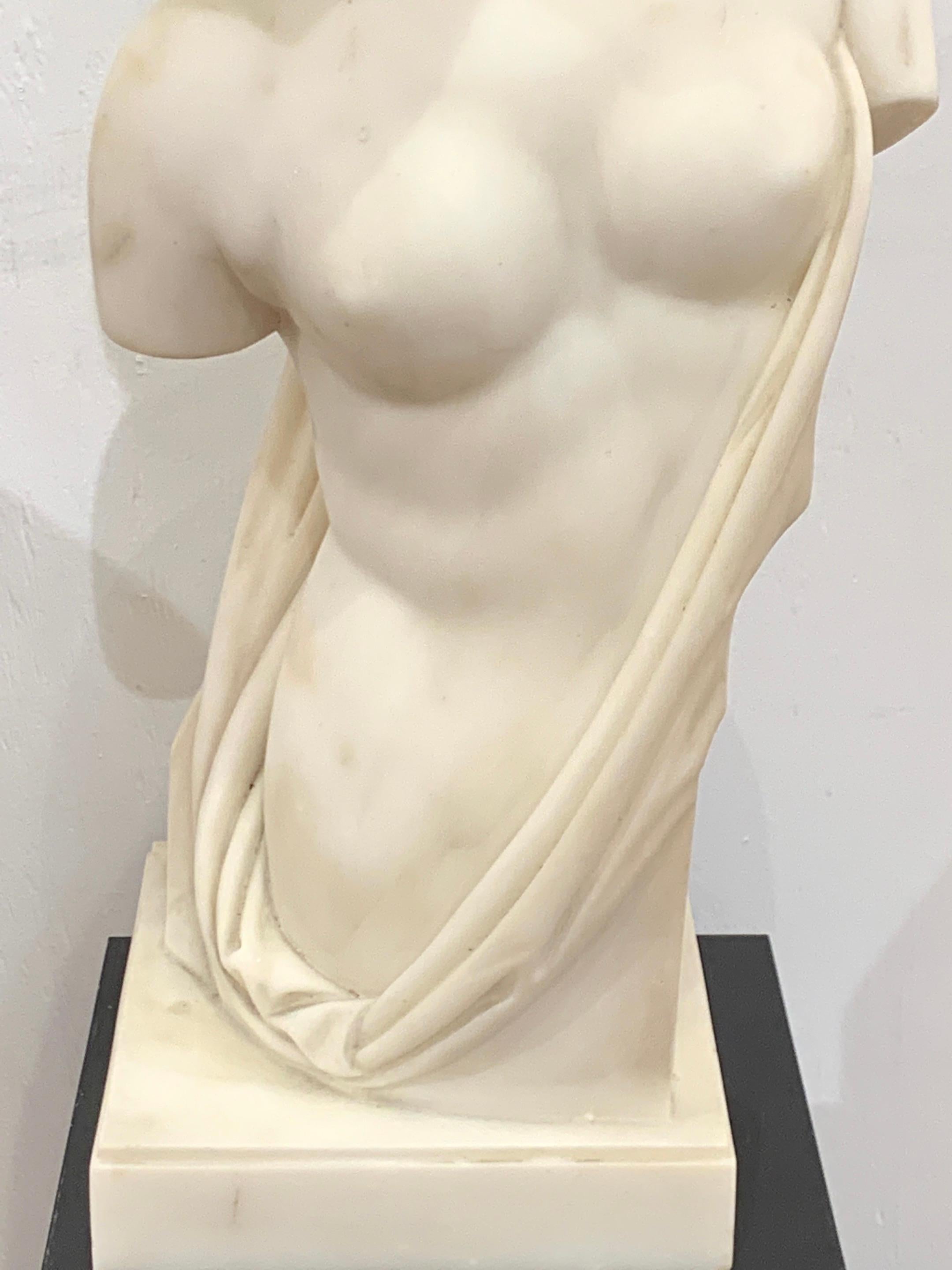Carved Carrera Marble Grand Tour Torso of Venus, by Leone Clerici, Roma, 1893 For Sale