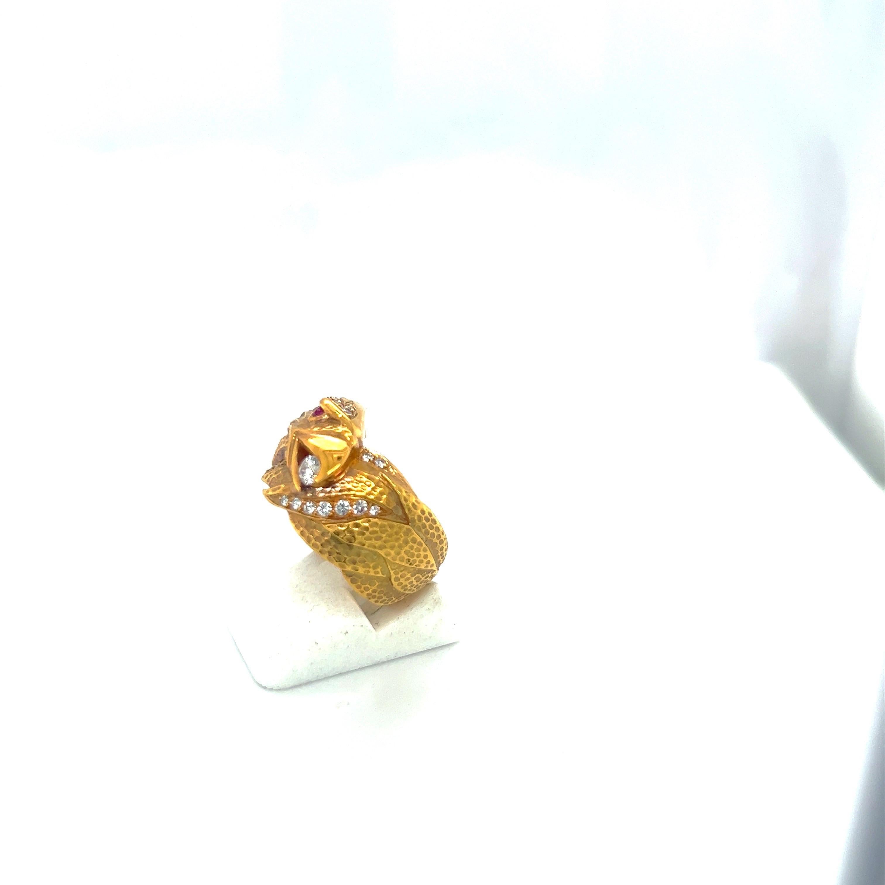 carrera y carrera ring
