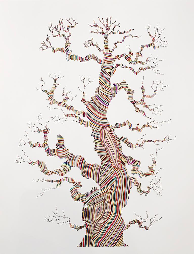 "Growth" rainbow lines tree pattern colorful nature