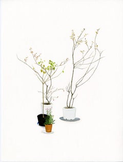 "House Plants (Suite of 4)" minimal plants greenery modern