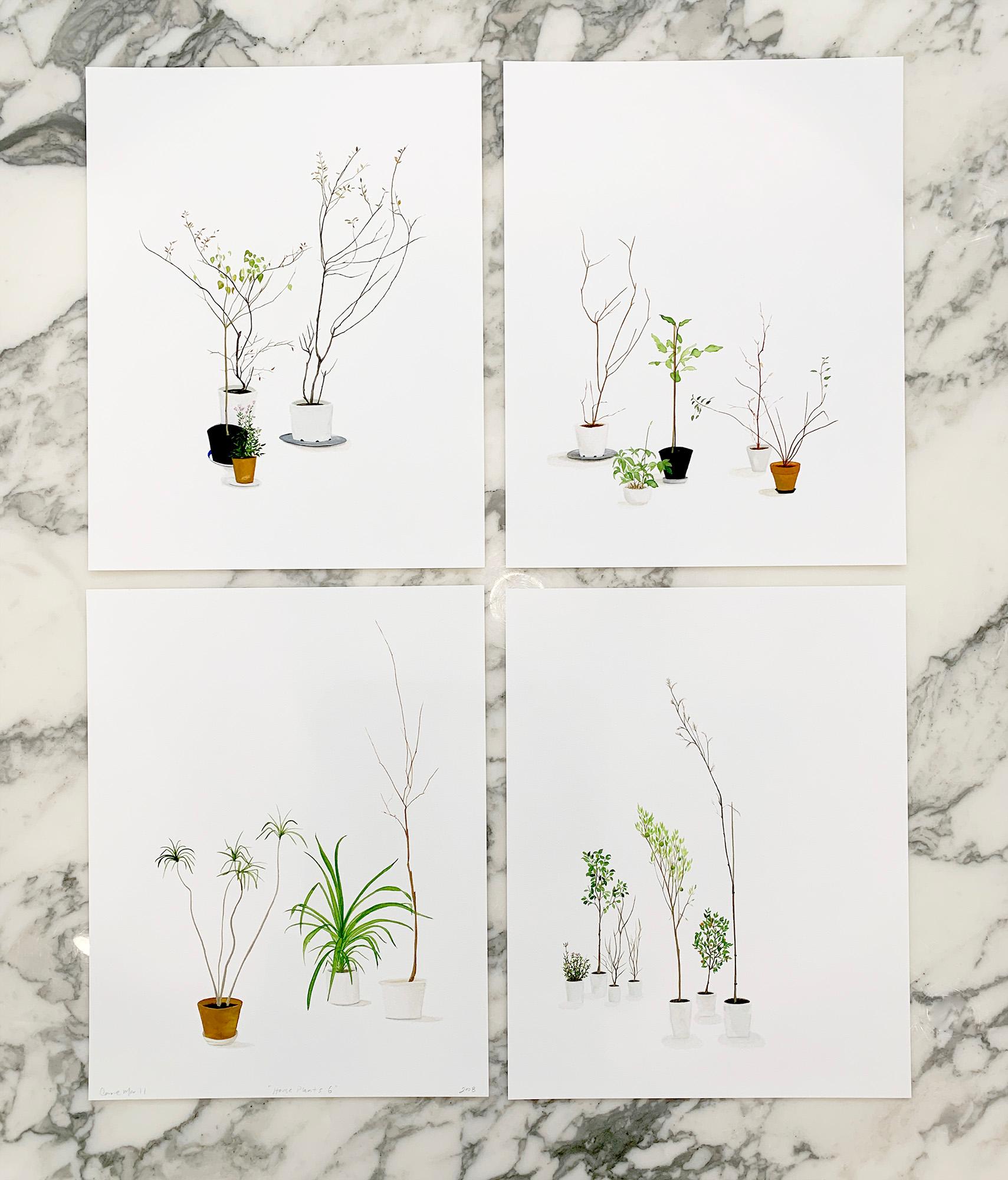 ""House Plants (Set von 4)" Moderne minimalistische Blumentöpfe