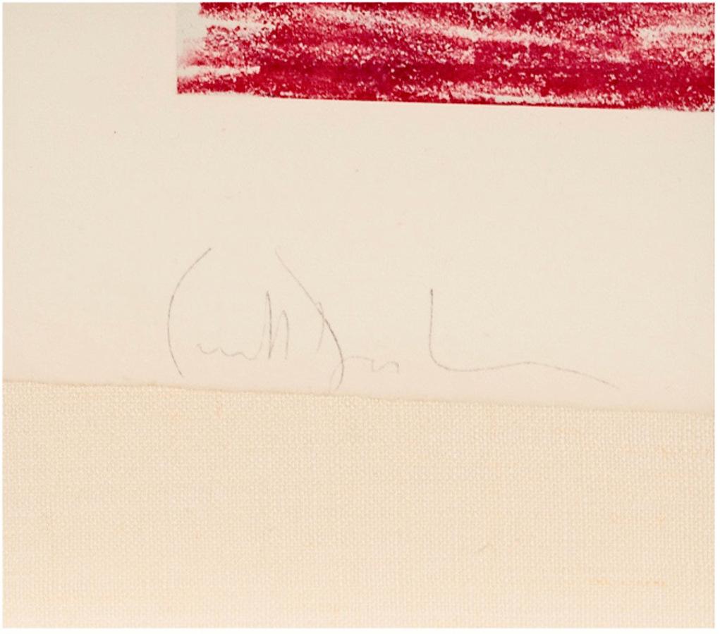 Post-Modern Carroll Dunham Colored Etching IV, Signed & Numbered For Sale