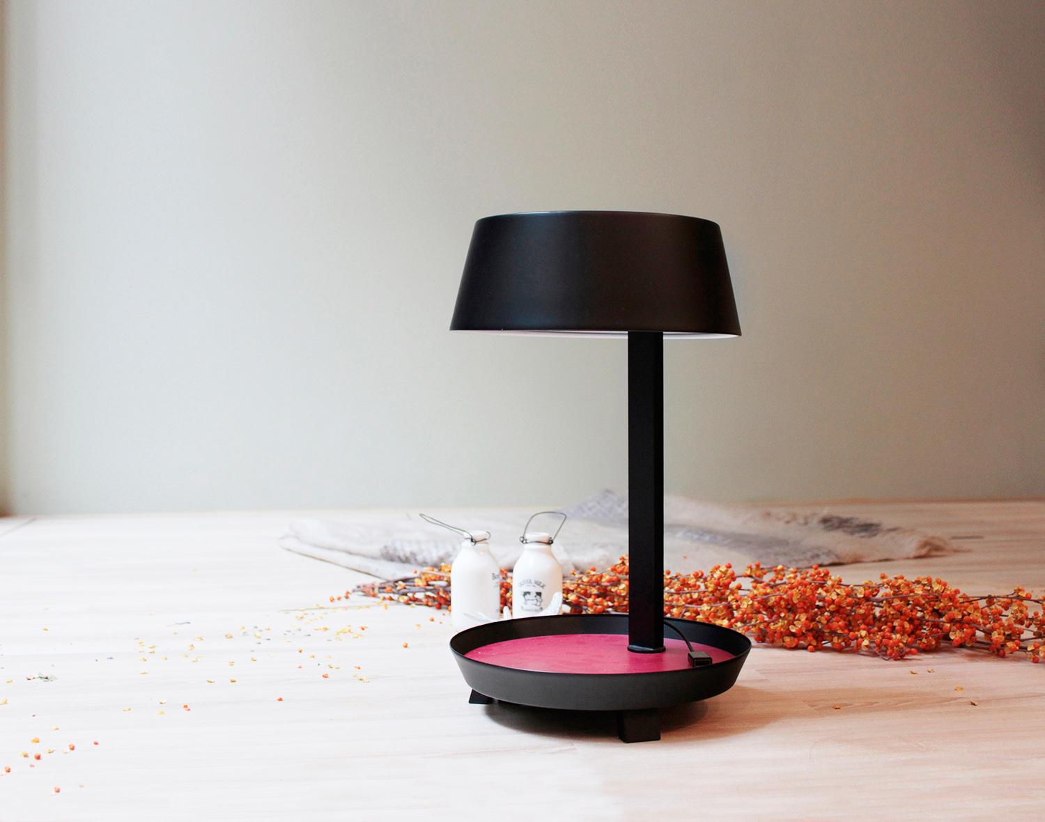 Carry Mini Table Lamp For Sale 7