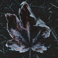 Foglia d'autunno - #2 di 3