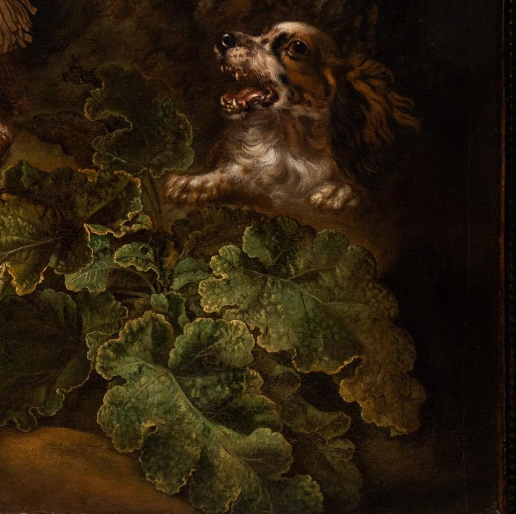 Still Life of Spaniels and Falcons in Landscape Setting by Carstian Luyckx For Sale 5