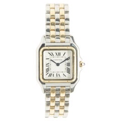 Cartier 18 Karat Yellow Gold and Stainless Steel Panthere